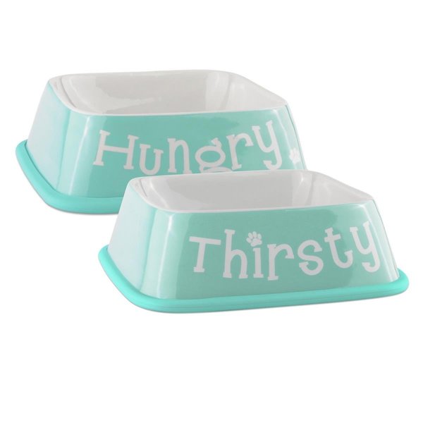 Design Imports Hungry & Thirsty Square Pet Bowl Aqua - Set of 2 CAMZ10405